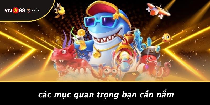 Các Mục Quan Trọng Bạn Cần Nắm